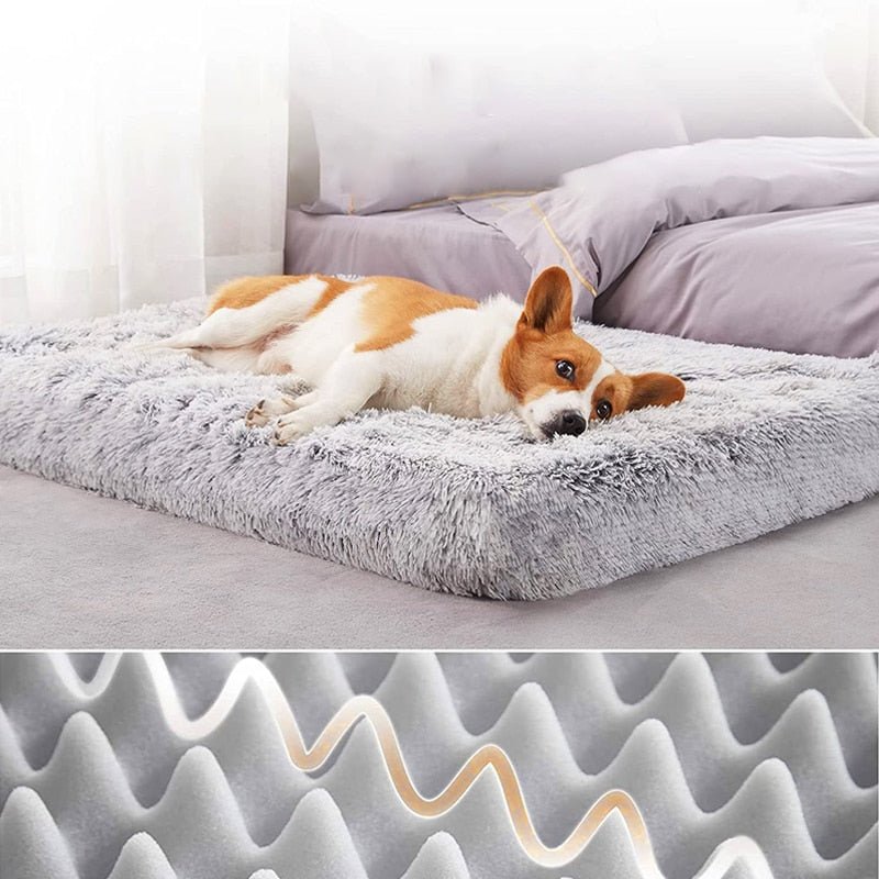 Memory Foam Pluffy® Dog Cat Bed - DormVibes