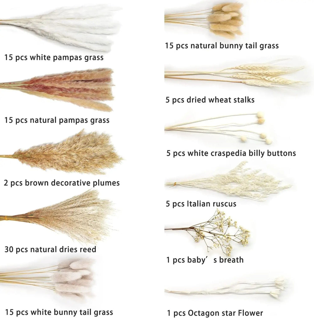104Pcs Dried Pampas Grass For Boho Aesthetic - DormVibes