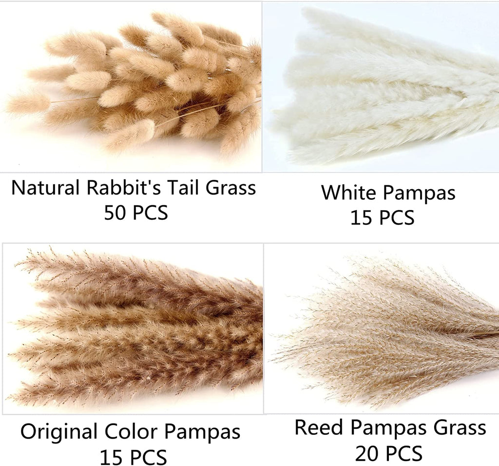 104Pcs Dried Pampas Grass For Boho Aesthetic - DormVibes