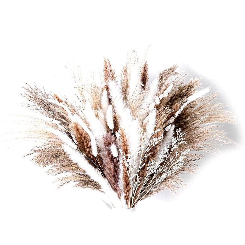 104Pcs Dried Pampas Grass For Boho Aesthetic - DormVibes