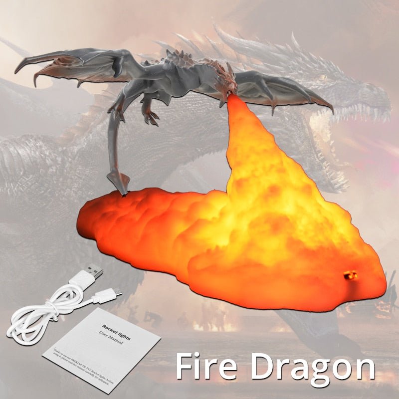 3D Room Decor Print LED Fire & Ice Dragon Lamps – Home Desktop Rechargeable Lamp, Unique Gift for Children and Family, Fantasy Home Decor - DormVibes