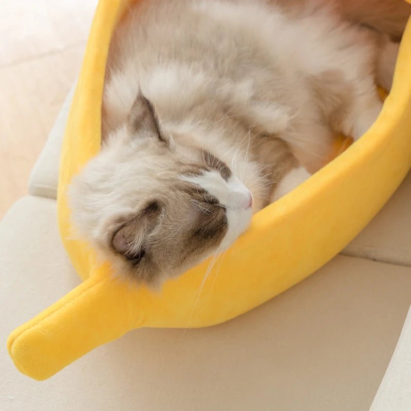 Banana Cat Bed: The Ultimate Cozy & Cute Retreat for Felines - DormVibes