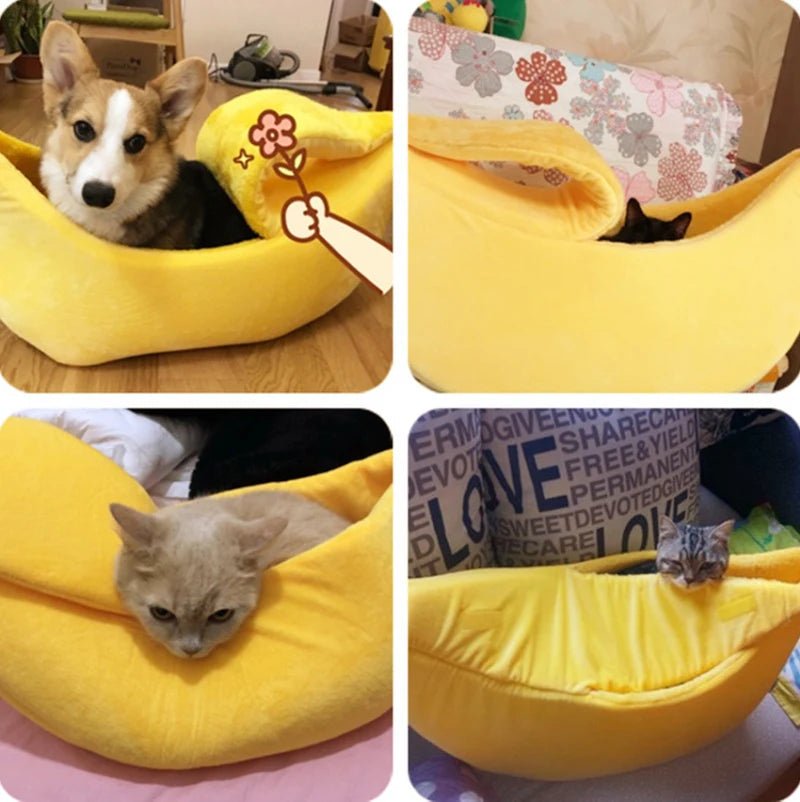 Banana Cat Bed: The Ultimate Cozy & Cute Retreat for Felines - DormVibes