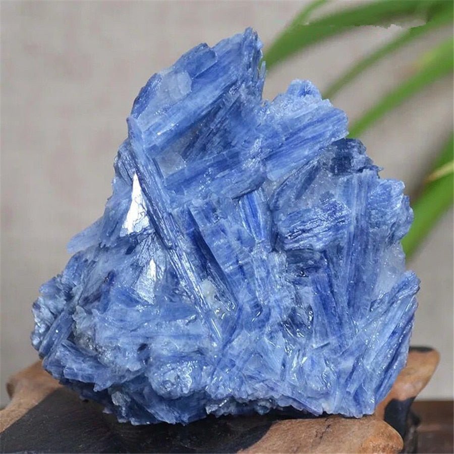 Blue Kyanite - Blue Crystals - DormVibes