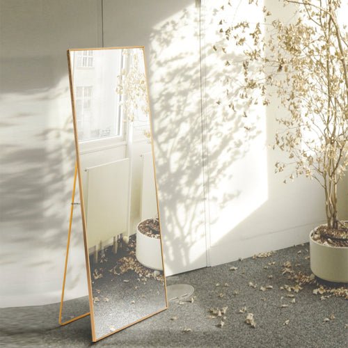 Classic Gold Mountable Standing Full Length Mirror - DormVibes