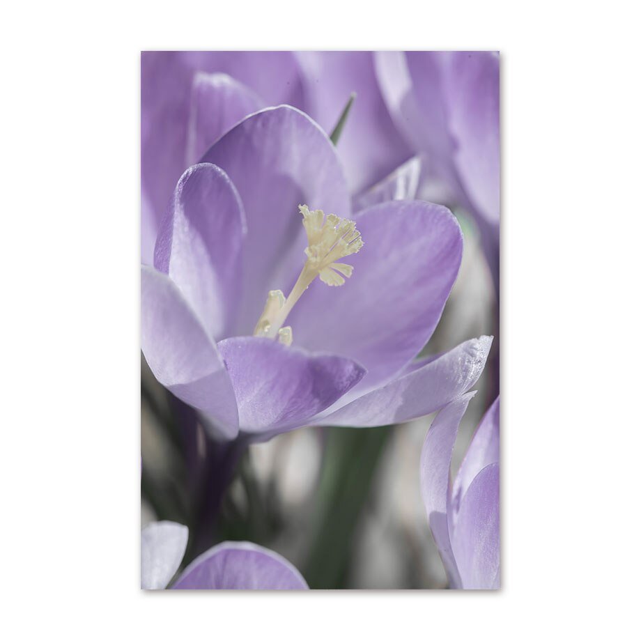 Coastal Lavender Lily Magnolia Wall Art Posters - DormVibes