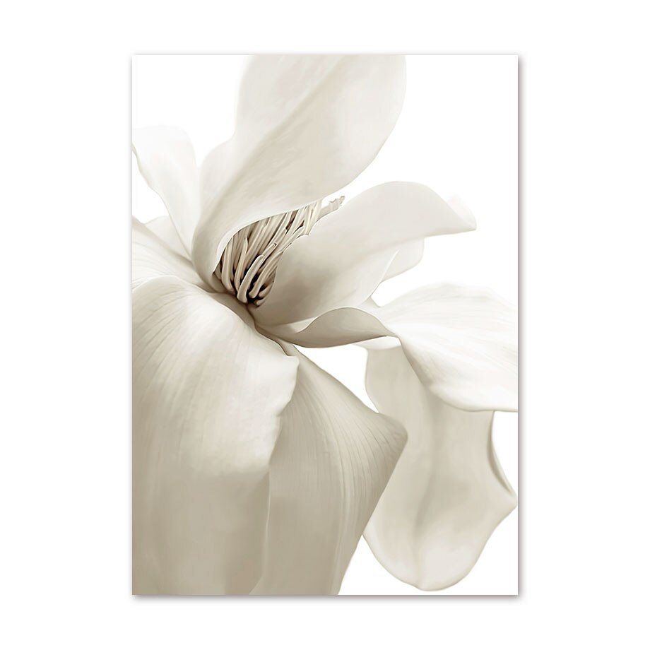 White Magnolias II Wall Art, Canvas Prints, Framed Prints, Wall Peels