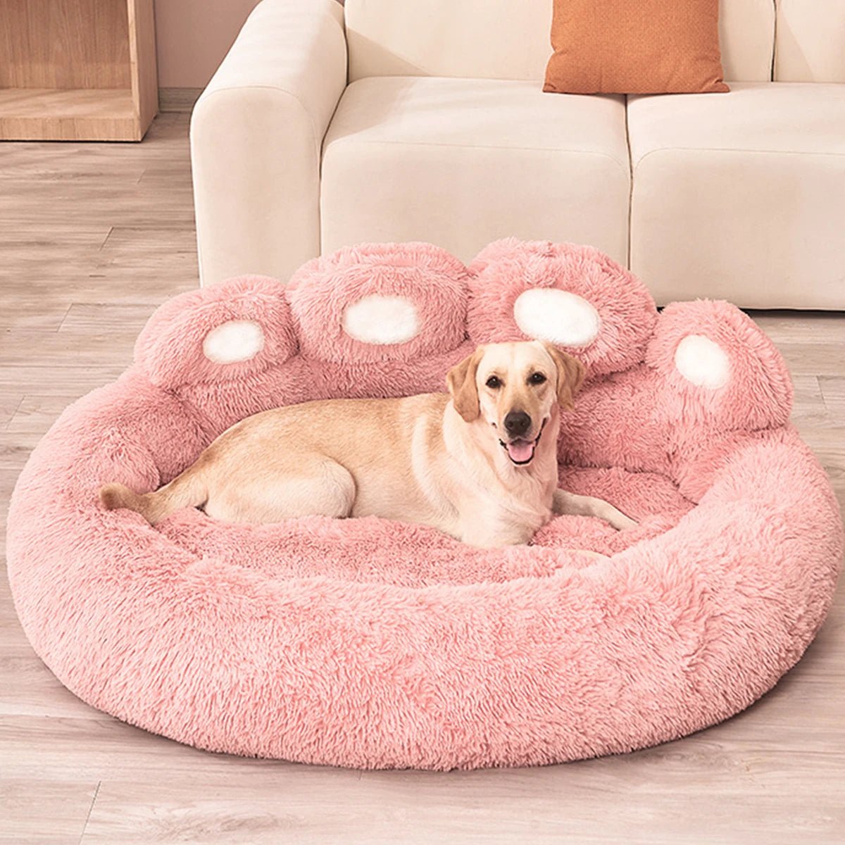 Couch shaped best sale dog beds