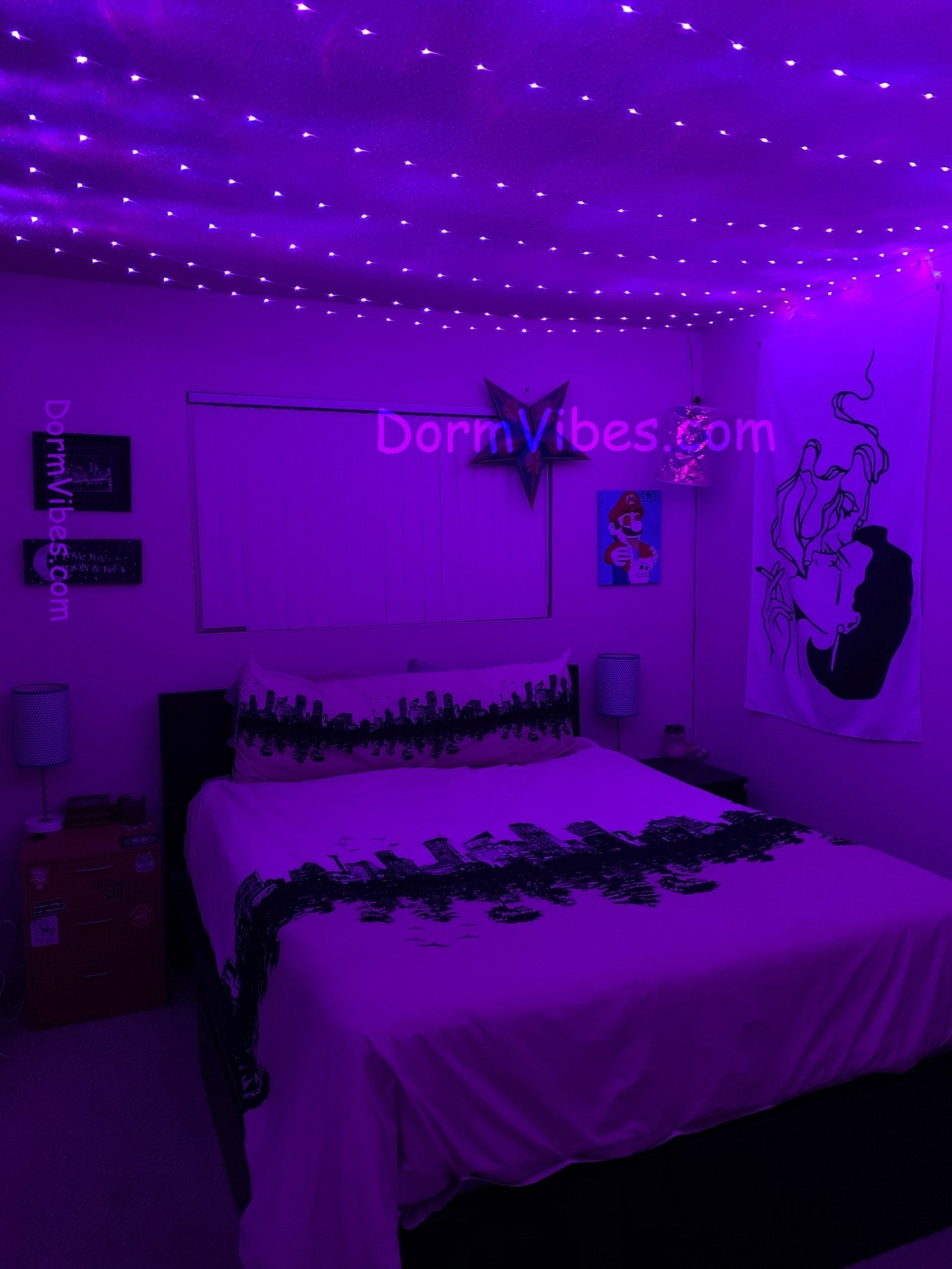 DormVibes Color Changing Ceiling Lights