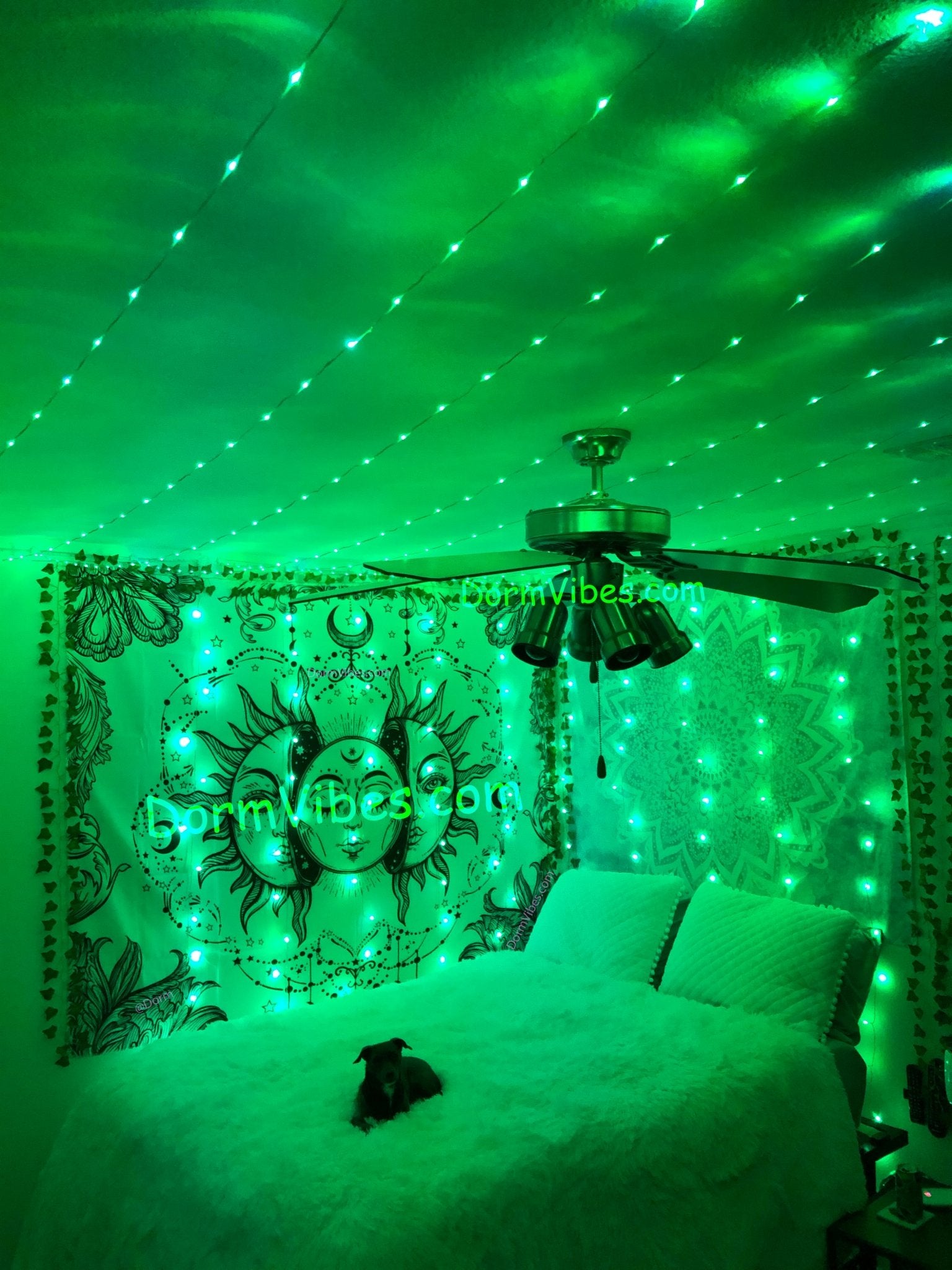 Dormvibes color deals changing lights