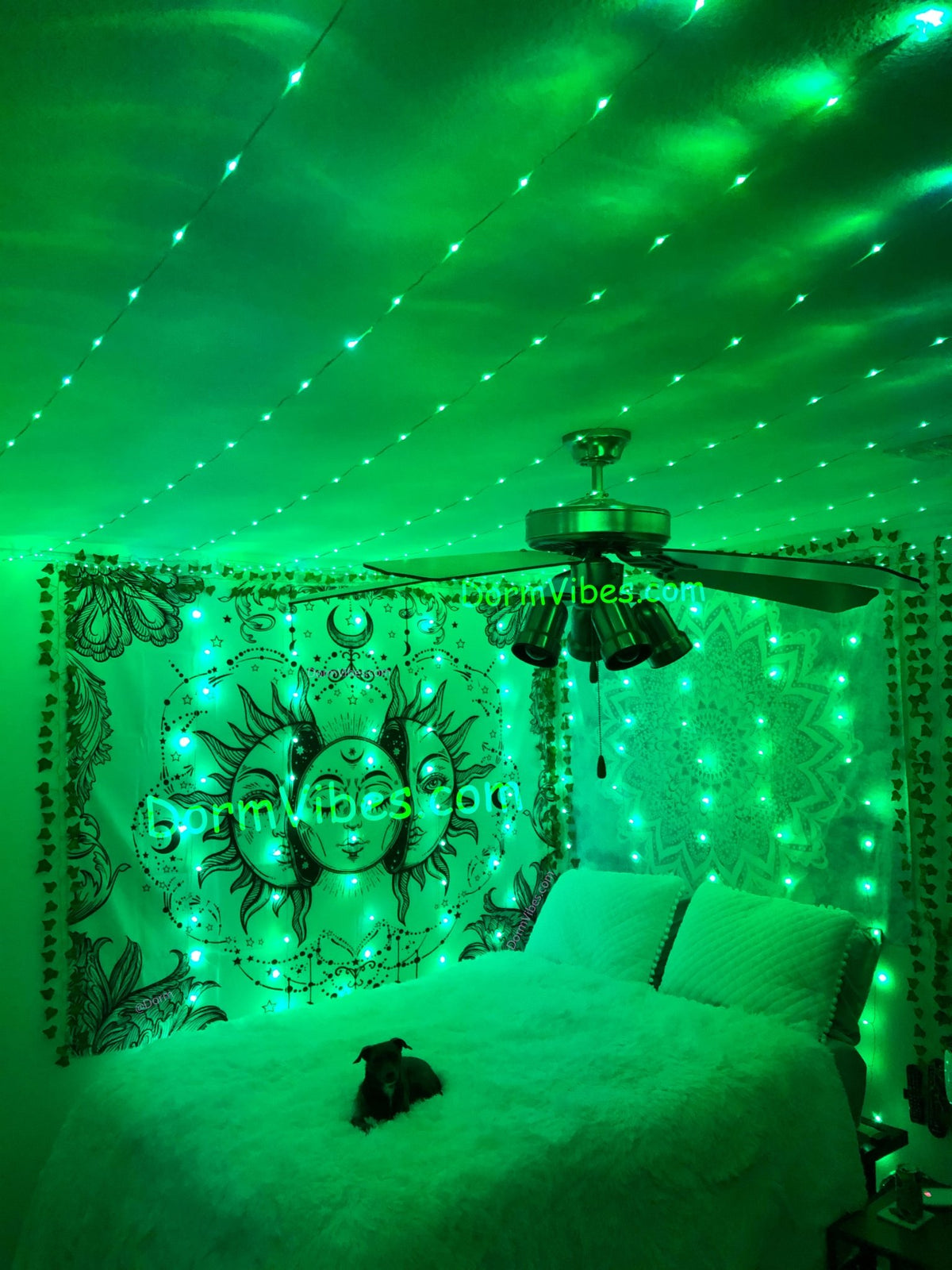 Green ceiling light strands above a bed with celestial tapestries