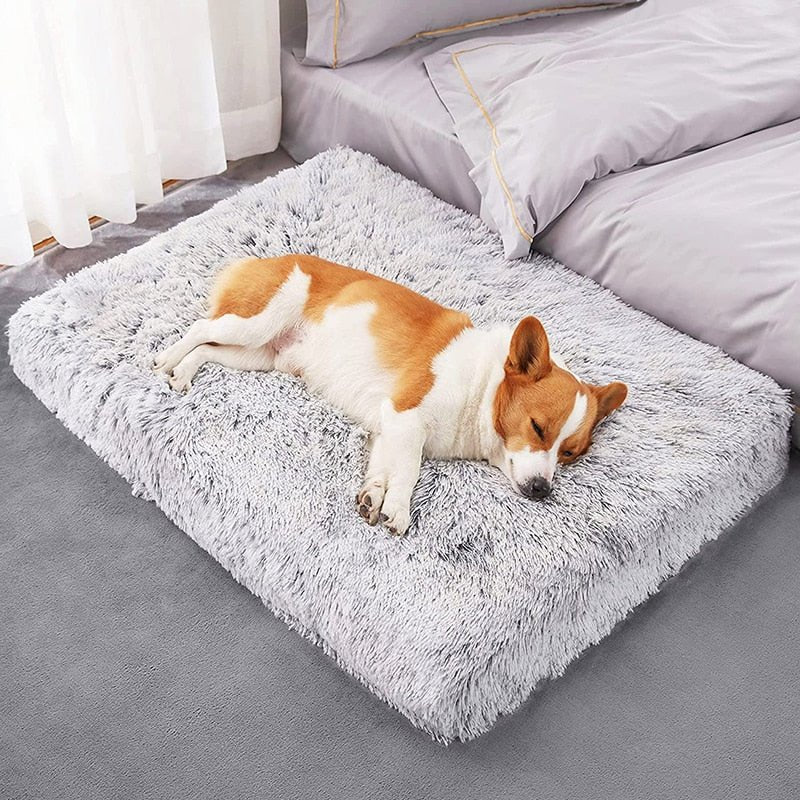 Memory Foam Pluffy® Dog Cat Bed - DormVibes