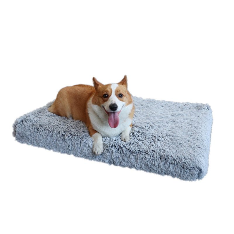 Memory Foam Pluffy® Dog Cat Bed - DormVibes