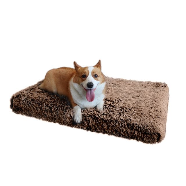 Memory Foam Pluffy® Dog Cat Bed - DormVibes