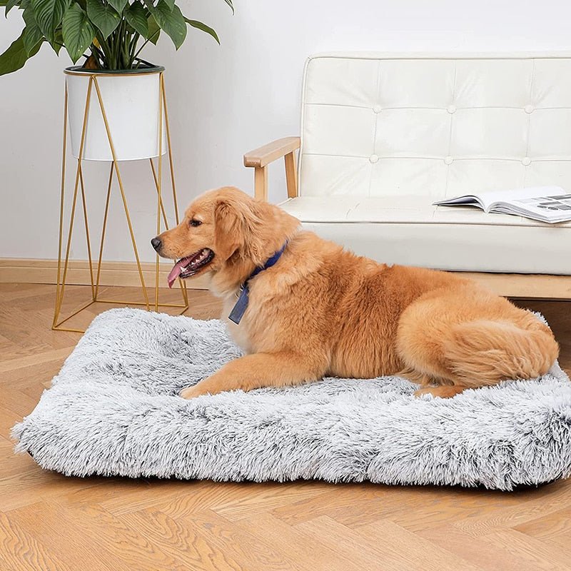 Memory Foam Pluffy® Dog Cat Bed - DormVibes