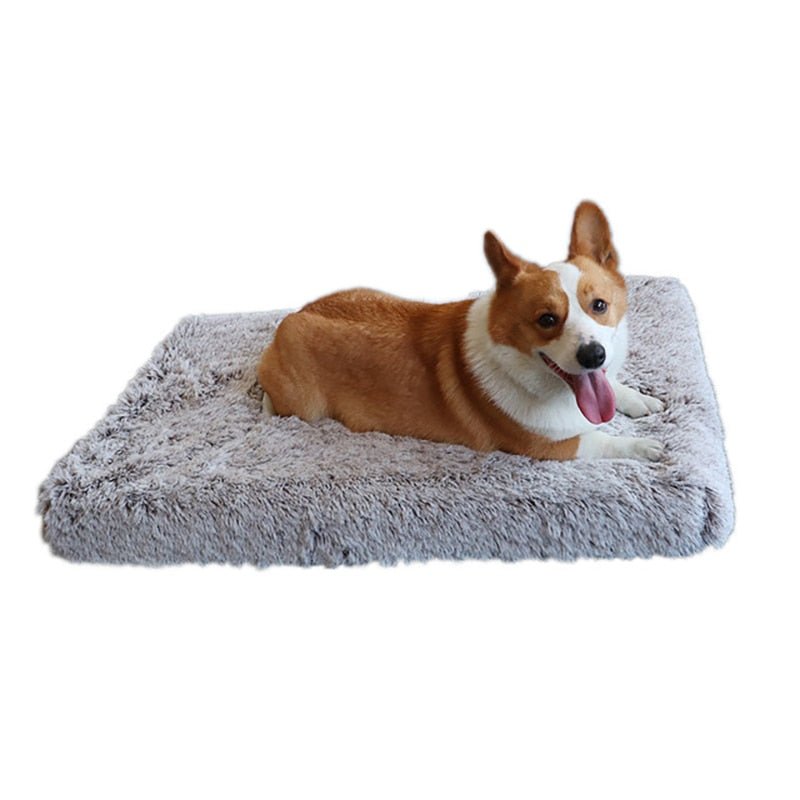 Memory Foam Pluffy® Dog Cat Bed - DormVibes