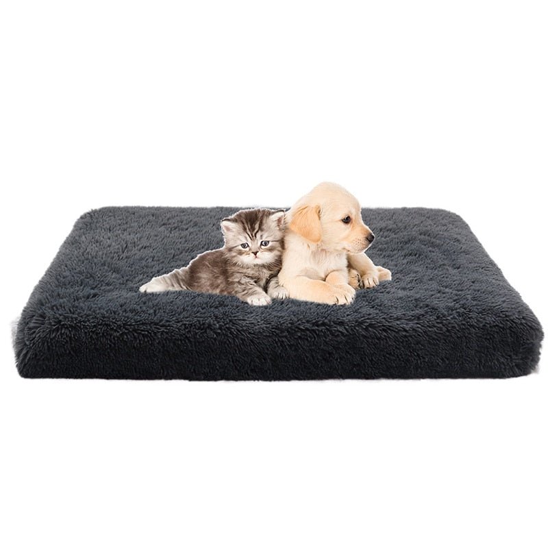 Memory Foam Pluffy® Dog Cat Bed - DormVibes