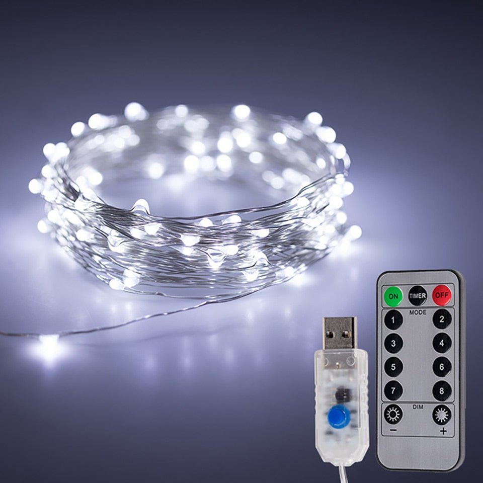 String Lights Fairy Led USB With Remote - DormVibes