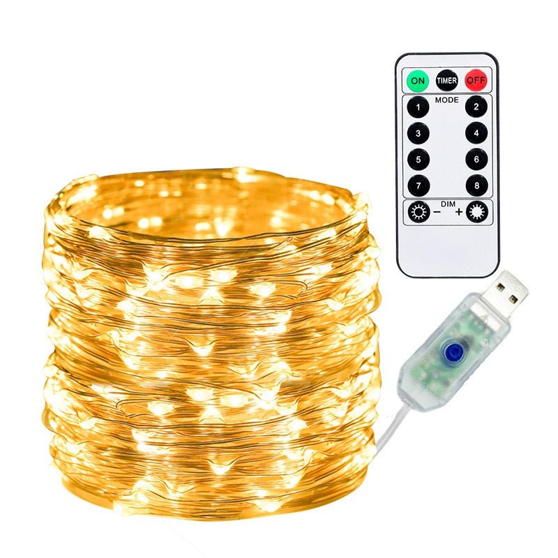 USB Fairy LED Light with Remote Control