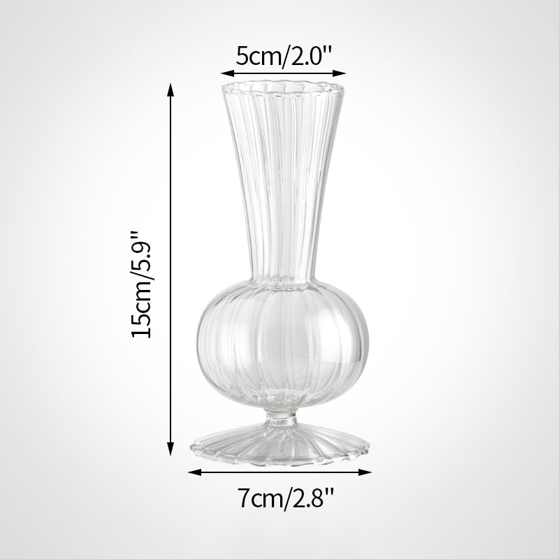 Stylish Transparent Glass Vases For Plant - DormVibes