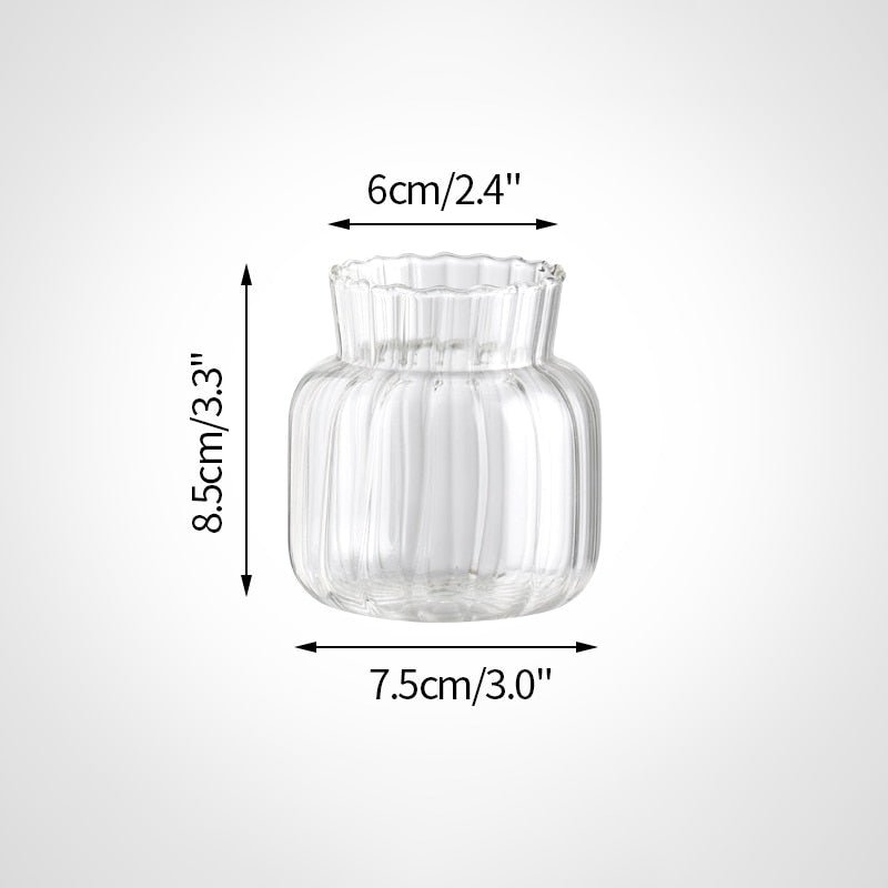 Stylish Transparent Glass Vases For Plant - DormVibes