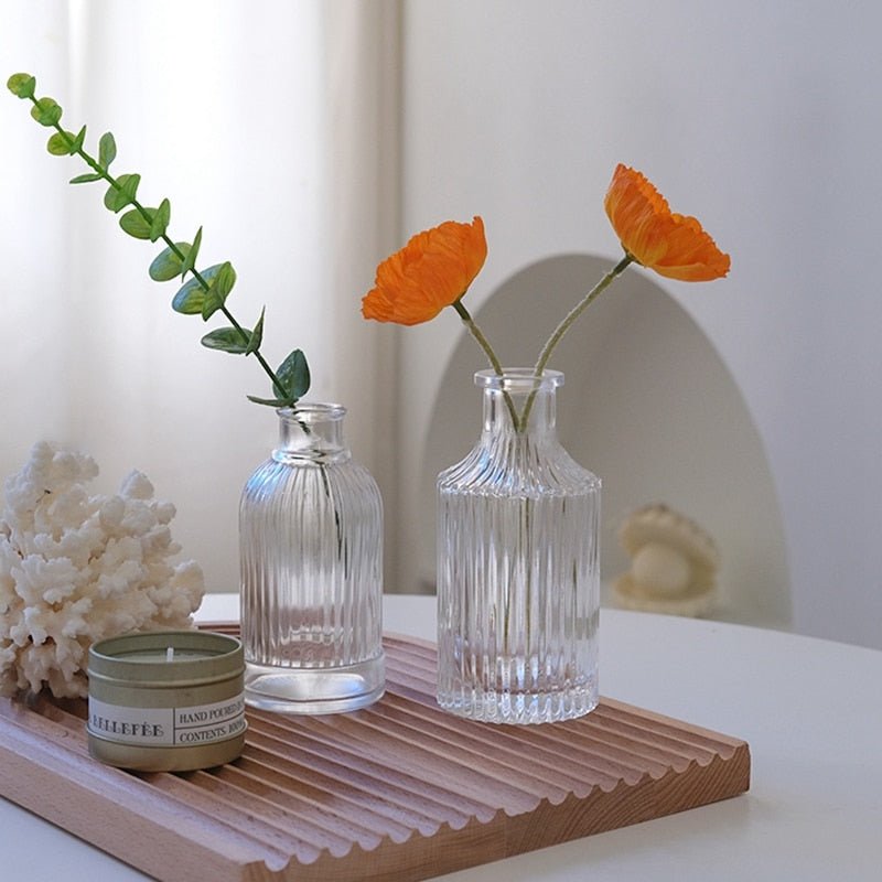 Stylish Transparent Glass Vases For Plant - DormVibes