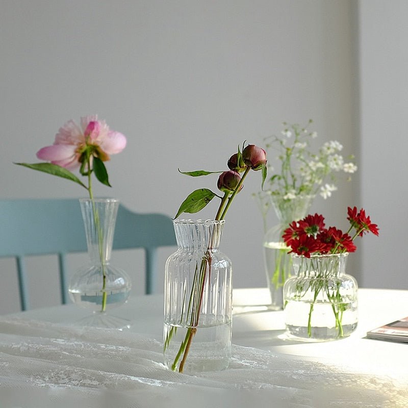 Stylish Transparent Glass Vases For Plant - DormVibes