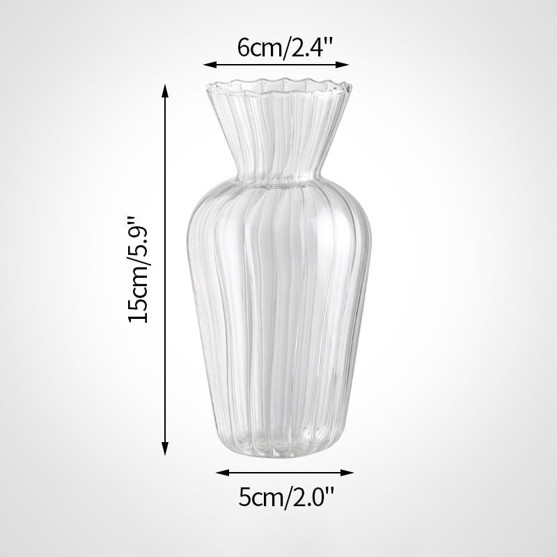 Stylish Transparent Glass Vases For Plant - DormVibes