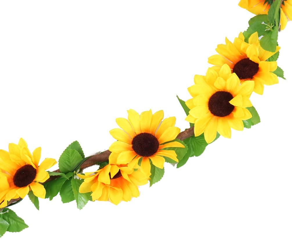Sunflower Vines - DormVibes