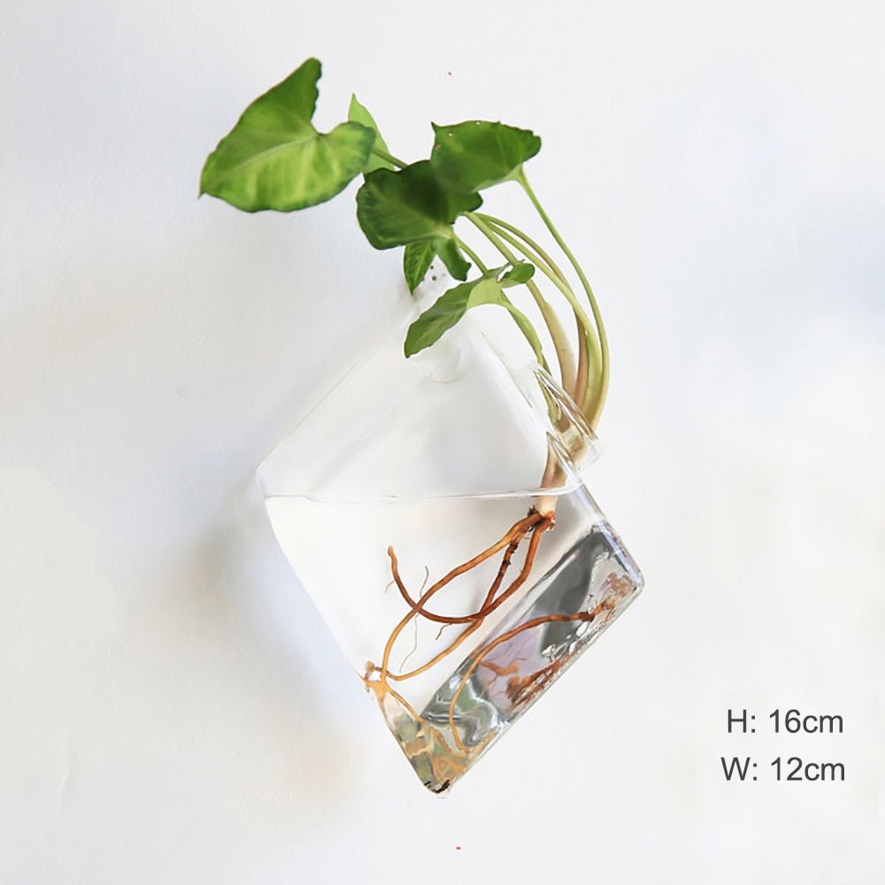 Wall Hanging Glass Flower Vase: Terrarium & Fish Tank for Home Garden Decoration - DormVibes