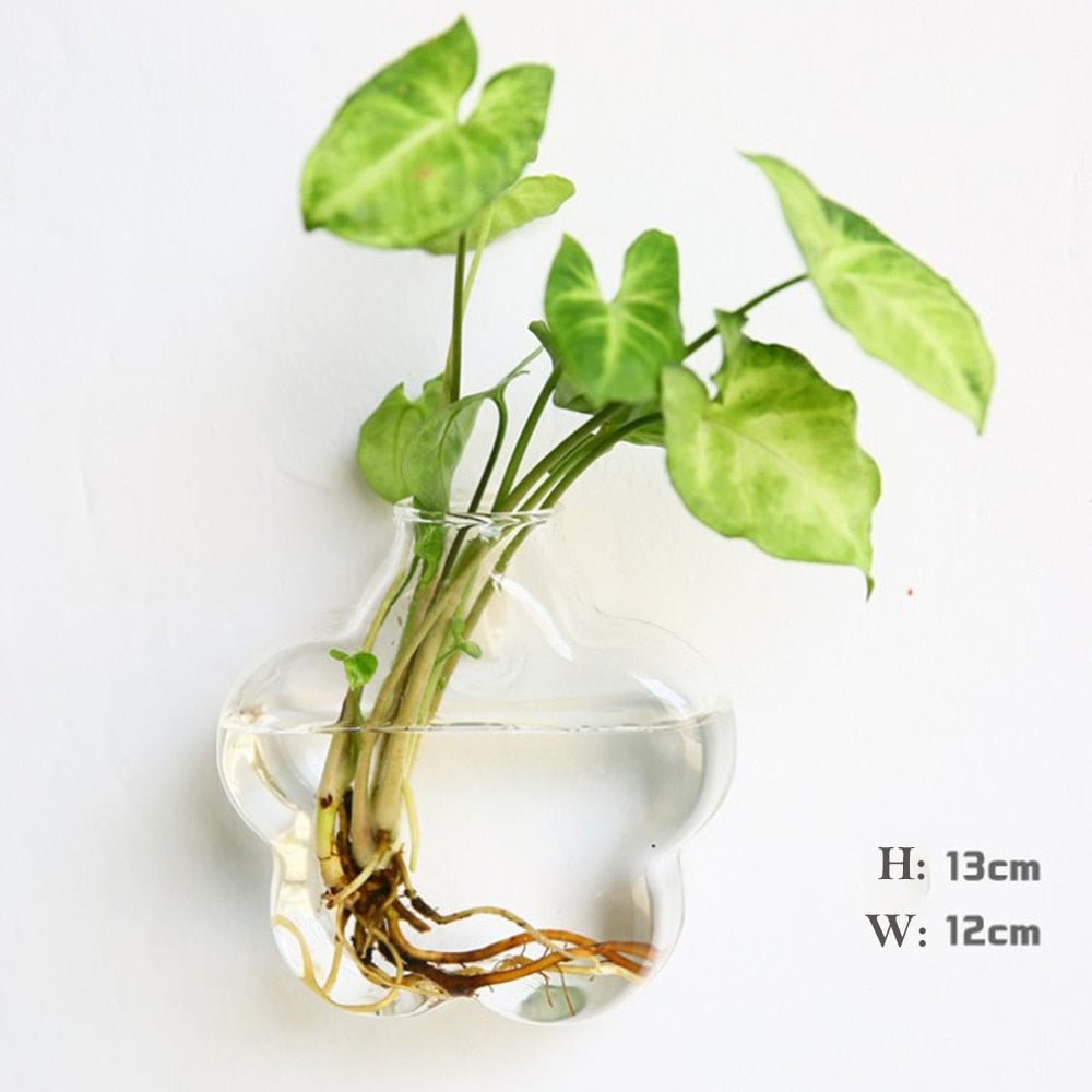 Wall Hanging Glass Flower Vase: Terrarium & Fish Tank for Home Garden Decoration - DormVibes