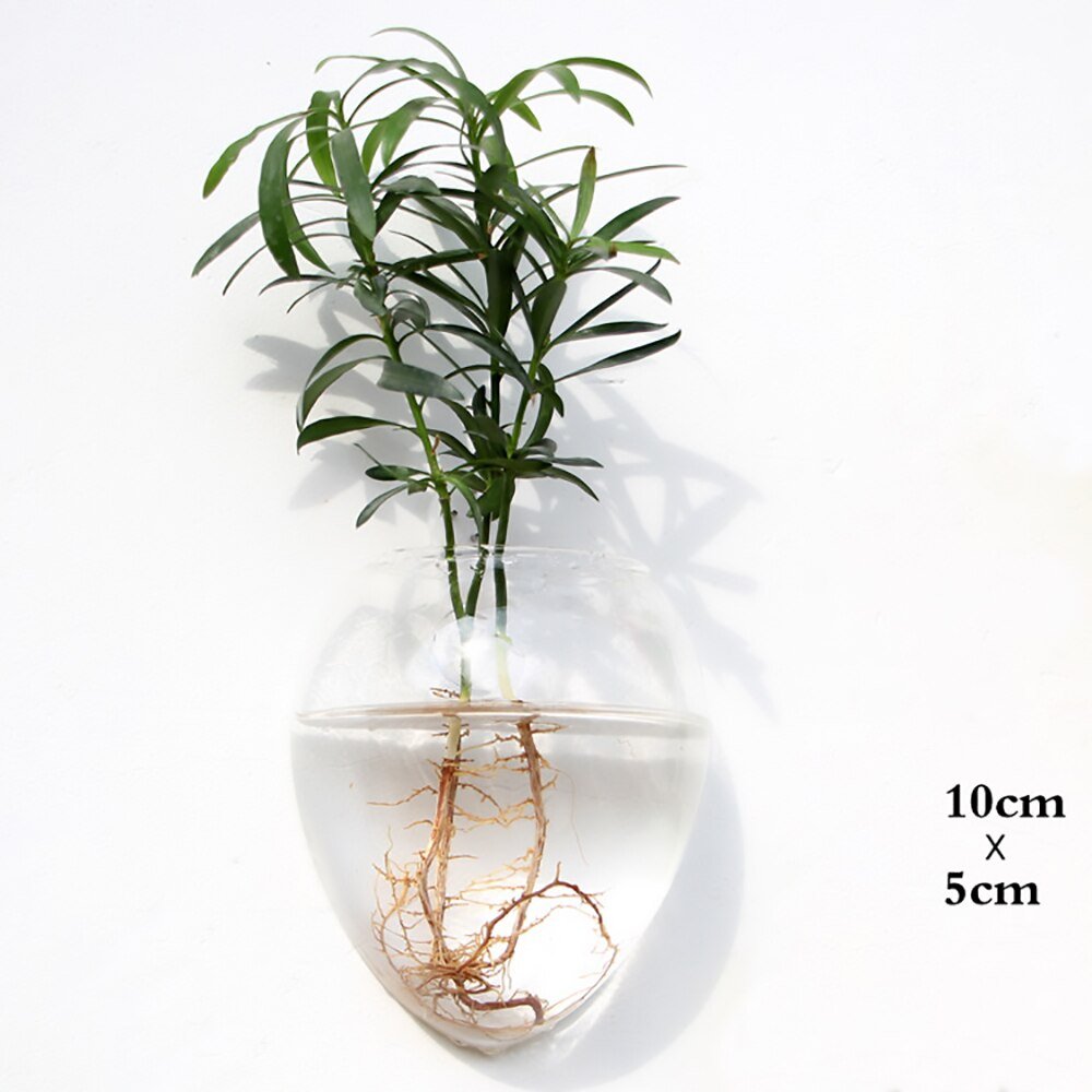 Wall Hanging Glass Flower Vase: Terrarium & Fish Tank for Home Garden Decoration - DormVibes