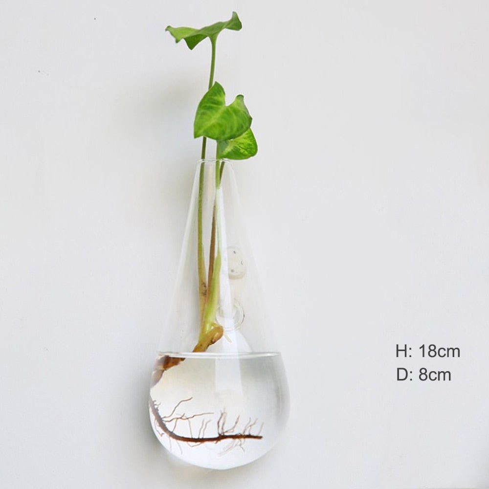 Wall Hanging Glass Flower Vase: Terrarium & Fish Tank for Home Garden Decoration - DormVibes