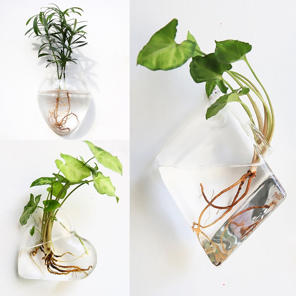 Wall Hanging Glass Flower Vase: Terrarium & Fish Tank for Home Garden Decoration - DormVibes