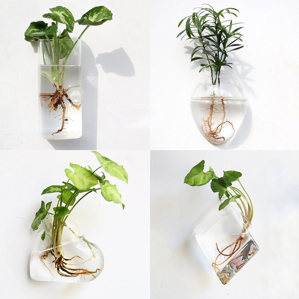 Wall Hanging Glass Flower Vase: Terrarium & Fish Tank for Home Garden Decoration - DormVibes