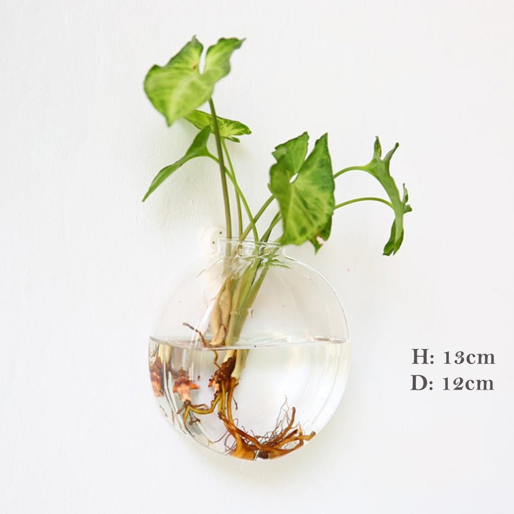 Wall Hanging Glass Flower Vase: Terrarium & Fish Tank for Home Garden Decoration - DormVibes