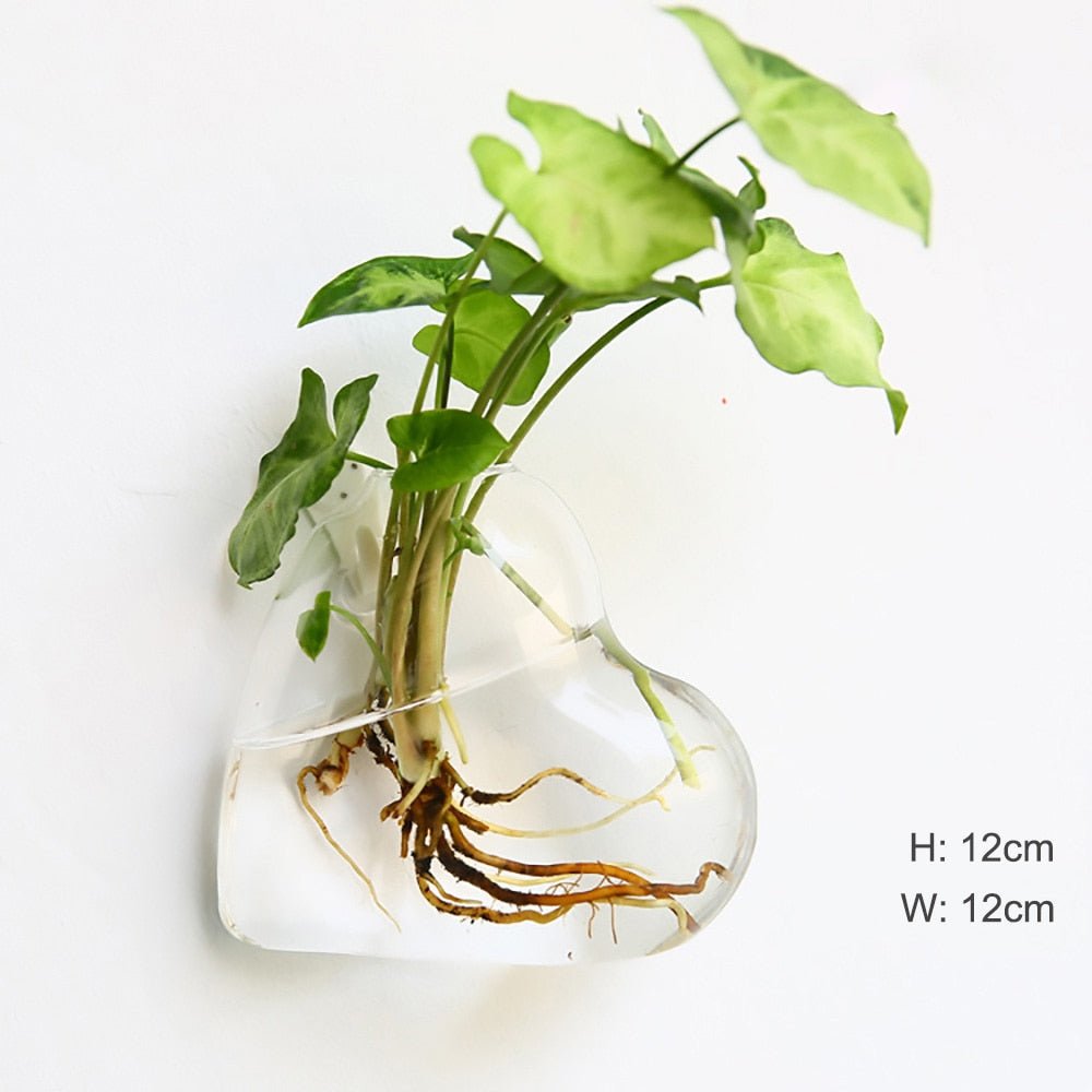 Wall Hanging Glass Flower Vase: Terrarium & Fish Tank for Home Garden Decoration - DormVibes