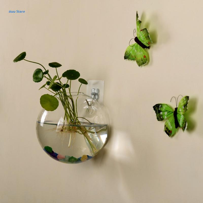 Wall Hanging Glass Vase: Versatile Hydroponic Terrarium, & Flower Pot in One - DormVibes
